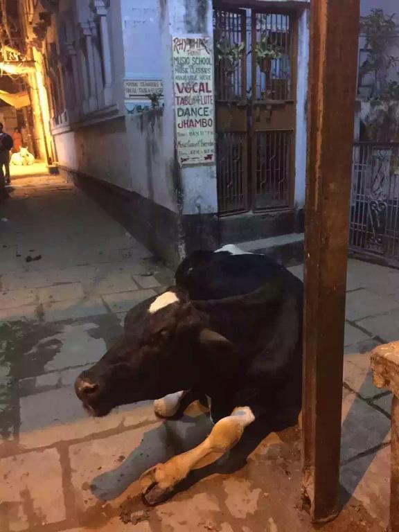 Paradise Inn Guest House Varanasi Esterno foto