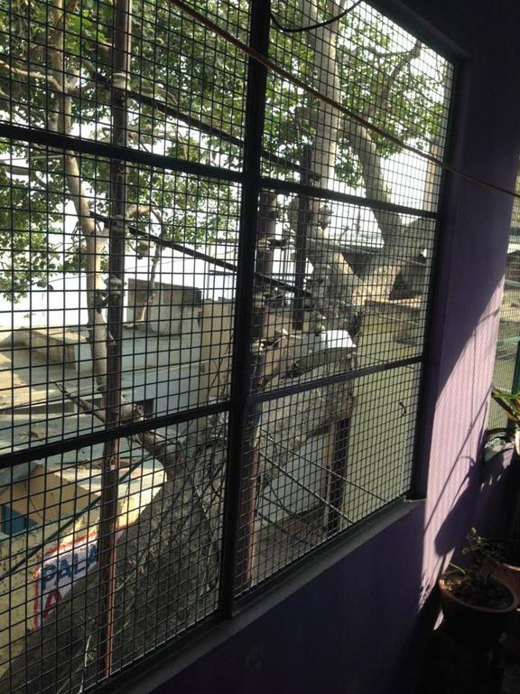 Paradise Inn Guest House Varanasi Camera foto